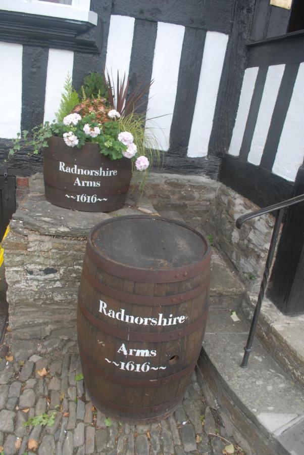 The Radnorshire Arms Hotel Presteigne Kültér fotó